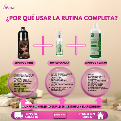 TRÍO COMPLETO (SHAMPOO TINTE + SHAMPOO ROMERO + TÓNICO CAPILAR )
