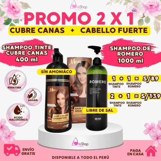 PROMO 2 X 1 (SHAMPOO TINTE CUBRE CANAS + SHAMPOO DE ROMERO)