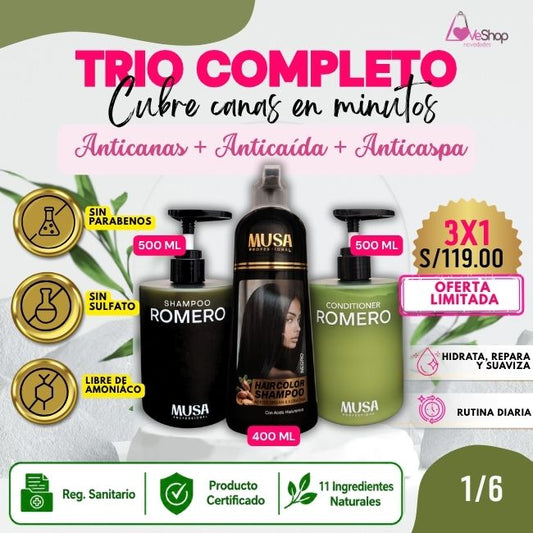 TRIO ANTICANAS+ANTICAÍIDA+ANTICASPA (SHAMPOO TINTE 400 ML + SHAMPOO ROMERO 500 ML + ACONDICIONADOR 500 ML)