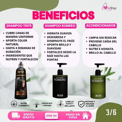 TRIO ANTICANAS+ANTICAÍIDA+ANTICASPA (SHAMPOO TINTE 400 ML + SHAMPOO ROMERO 500 ML + ACONDICIONADOR 500 ML)