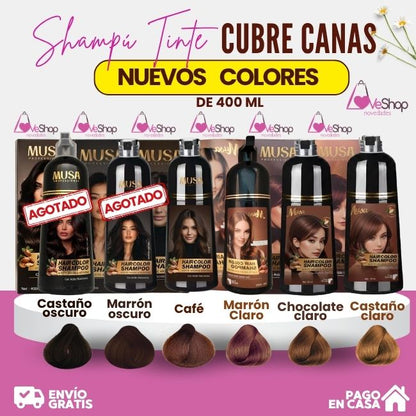 TRÍO CAPILAR COMPLETO (SHAMPOO TINTE + SHAMPOO ROMERO + ACONDICIONADOR DE ROMERO)
